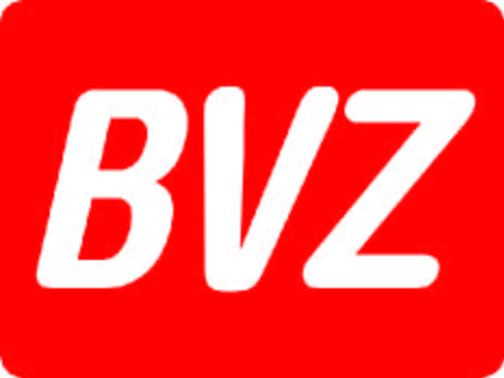 02BVZ.jpg